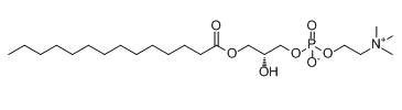 LysoPC(14:0/0:0) 20559-16-4